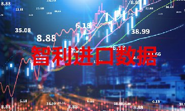 智利海關數(shù)據(jù)——海關數(shù)據(jù)查詢入口