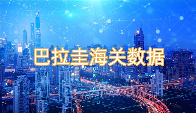 巴拉圭海關(guān)數(shù)據(jù)-全球海關(guān)進出口數(shù)據(jù)