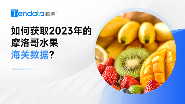 如何獲取2023年的摩洛哥水果海關(guān)數(shù)據(jù)?
