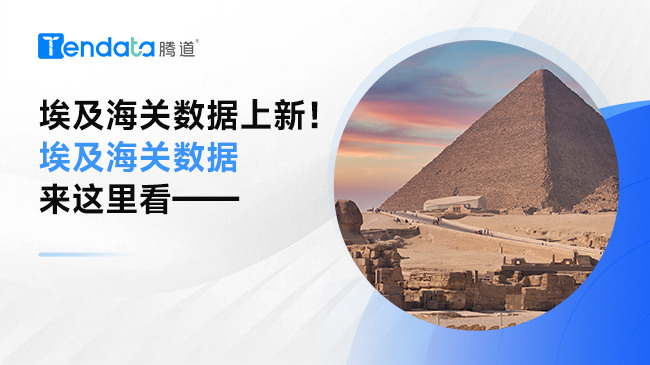 埃及海關(guān)數(shù)據(jù)上新！埃及海關(guān)數(shù)據(jù)來這里看——