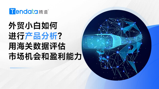 外貿小白如何進行產品分析？用海關數(shù)據評估市場機會和盈利能力