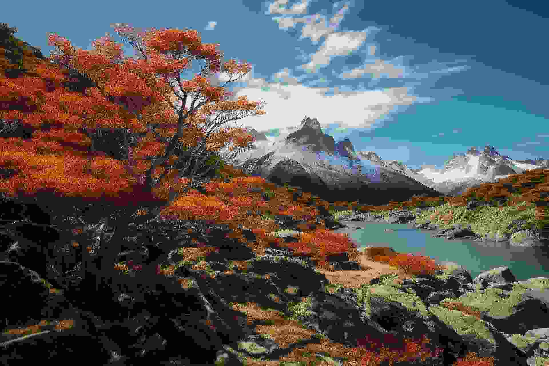海關(guān)貿(mào)易數(shù)據(jù),智利海關(guān)貿(mào)易數(shù)據(jù),騰道智利海關(guān)貿(mào)易數(shù)據(jù)
