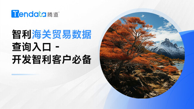 智利海關(guān)貿(mào)易數(shù)據(jù)查詢?nèi)肟?- 開發(fā)智利客戶必備