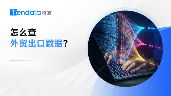 怎么查外貿(mào)出口數(shù)據(jù)？一文教會你查海關(guān)數(shù)據(jù)