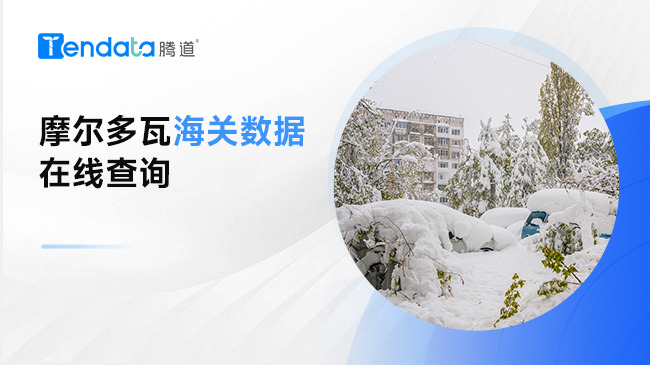 摩爾多瓦海關數據——在線查詢