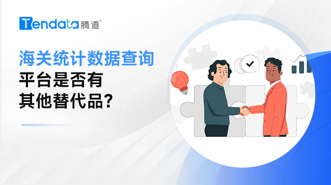 除了海關(guān)總署，海關(guān)統(tǒng)計(jì)數(shù)據(jù)查詢平臺(tái)是否有其他替代品?