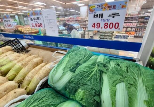 韓國進(jìn)口中國白菜的市場情況