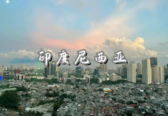 貿(mào)易數(shù)據(jù),貿(mào)易數(shù)據(jù)查詢,貿(mào)易數(shù)據(jù)查詢平臺